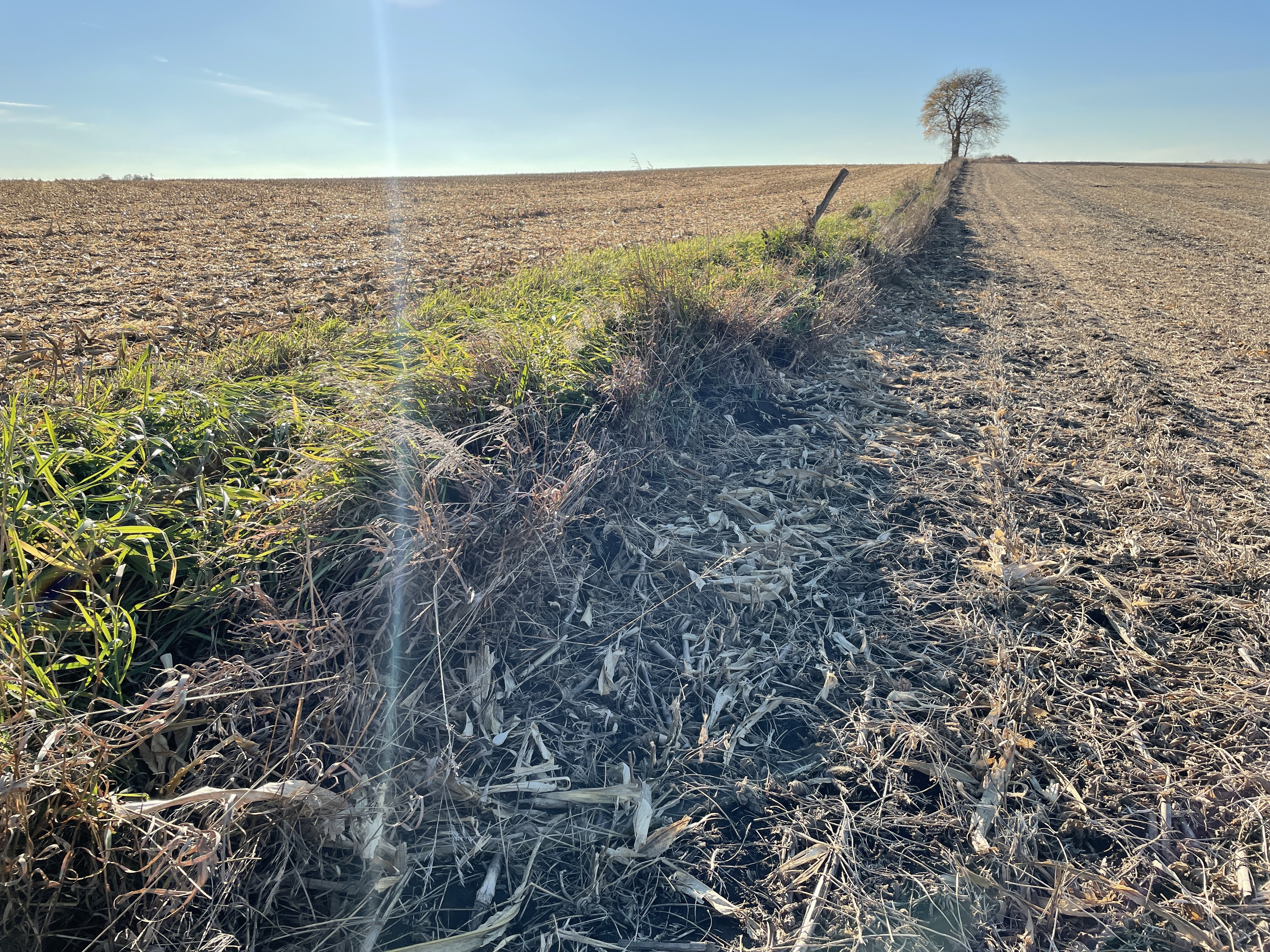Conventional Tillage: Compaction Mitigating Ally or an Unforeseen Antagonist?