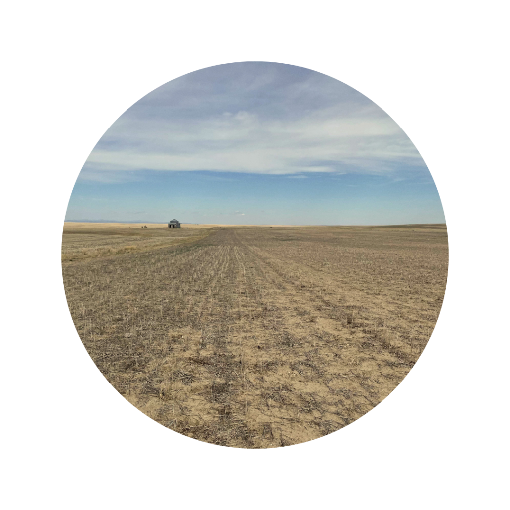 Newly seeded pasture in South Dakota